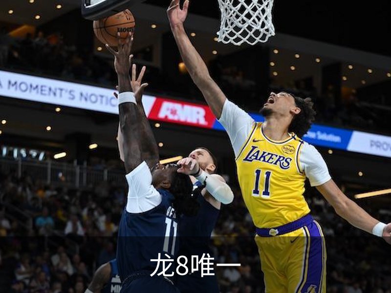 龙8唯一概况